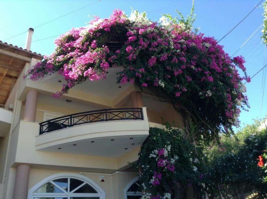 Lenico Beachfront Suites Agia Pelagia  Exterior photo