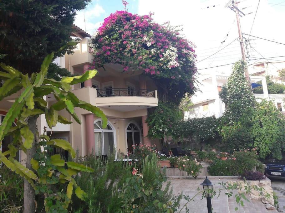 Lenico Beachfront Suites Agia Pelagia  Exterior photo